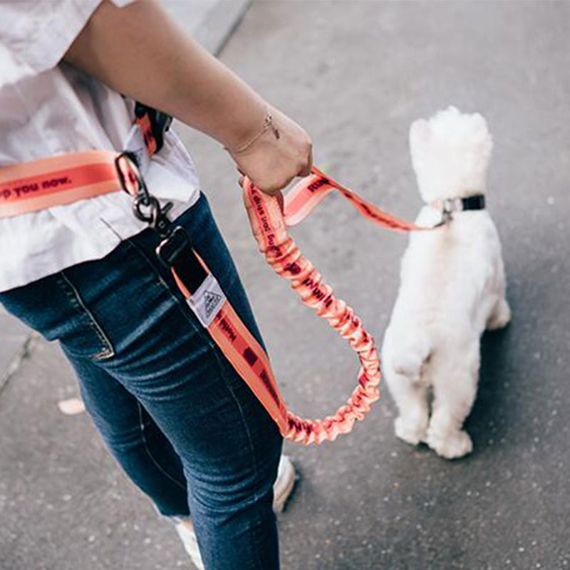 Running Gear Dog - Laisse réglable mains libres pour chien,