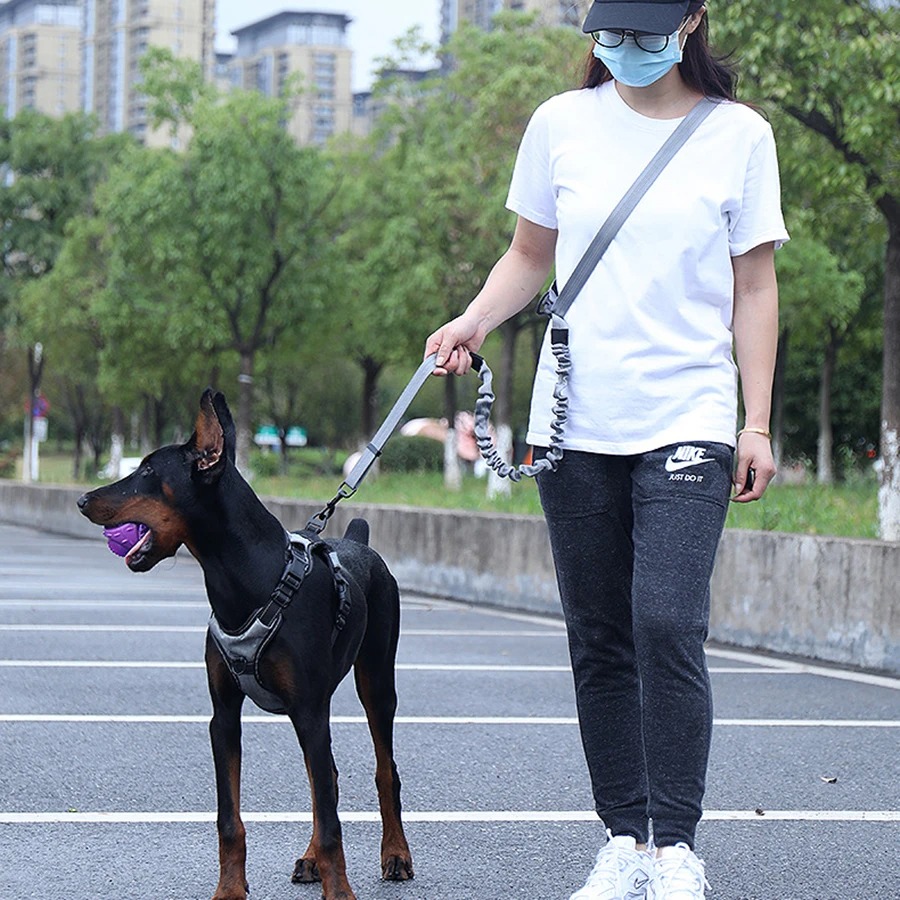 Running Gear Dog - Laisse mains libres pour chien, pour