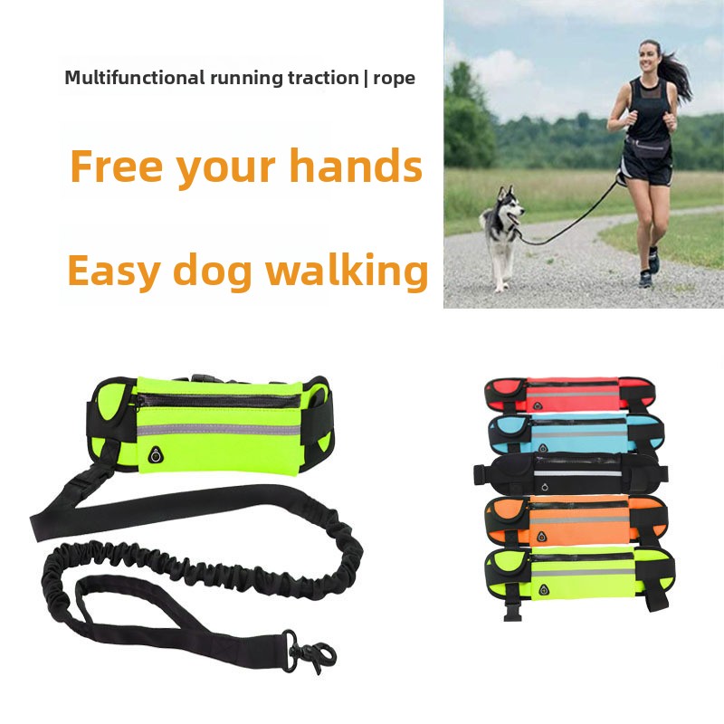 Running Gear Dog - Ensemble multifonctionnel d'équipement de promenade pour