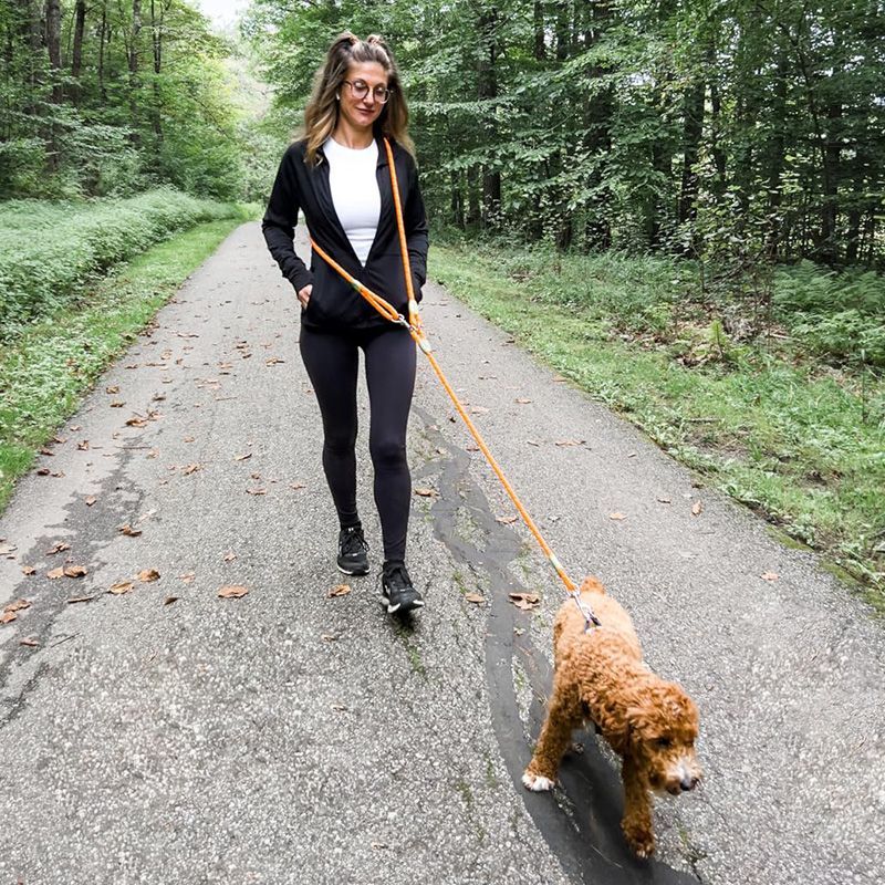 Running Gear Dog - Laisse réfléchissante pour chien mains libres