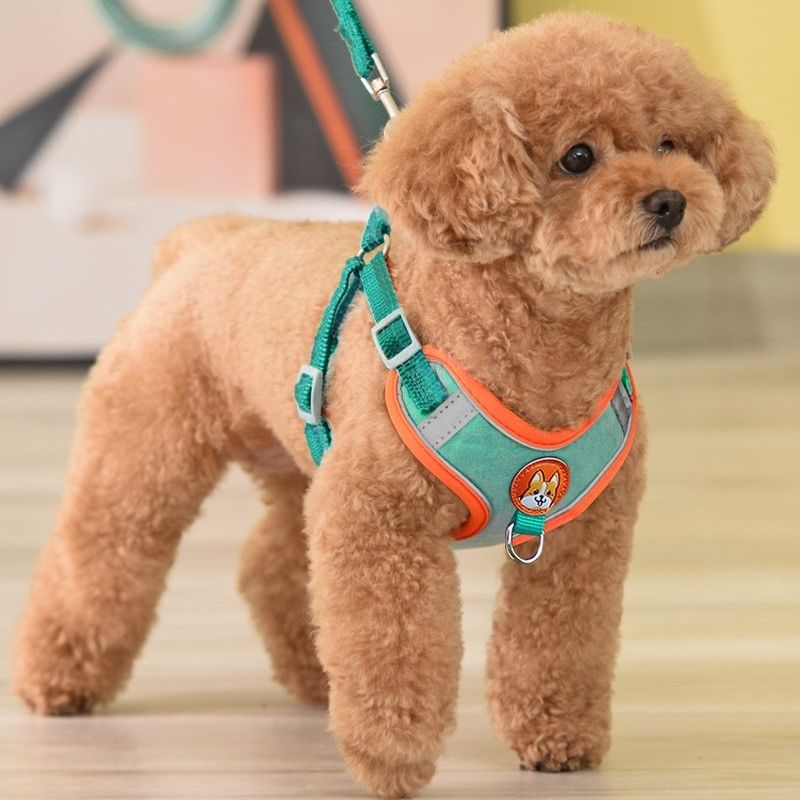Running Gear Dog - Réglable Sans Pull Pet Chien Réfléchissant