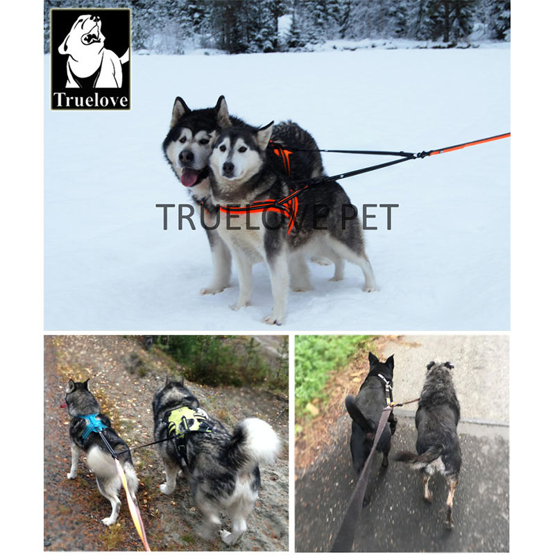 Truelove laisse Double en Nylo - Running Gear Dog avis et prix