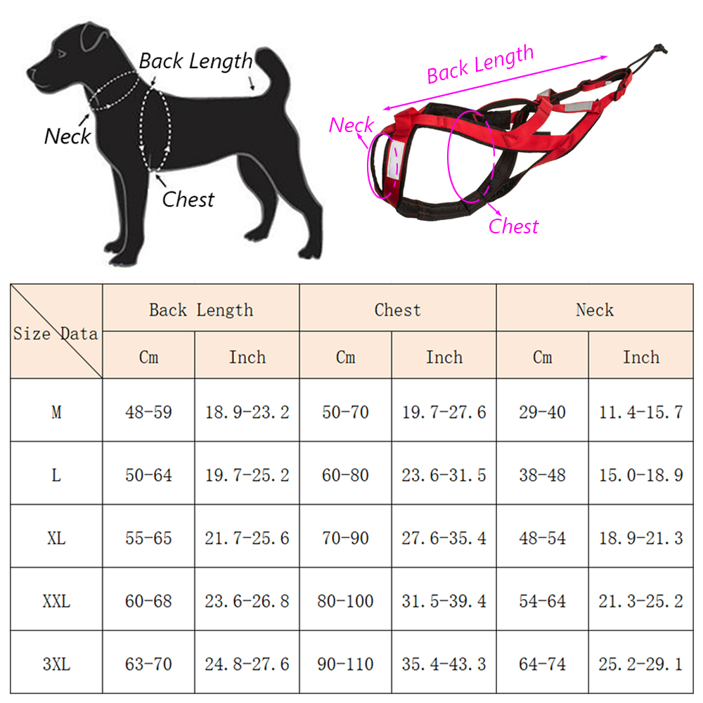 Harnais de ski et de course de - Running Gear Dog avis et prix