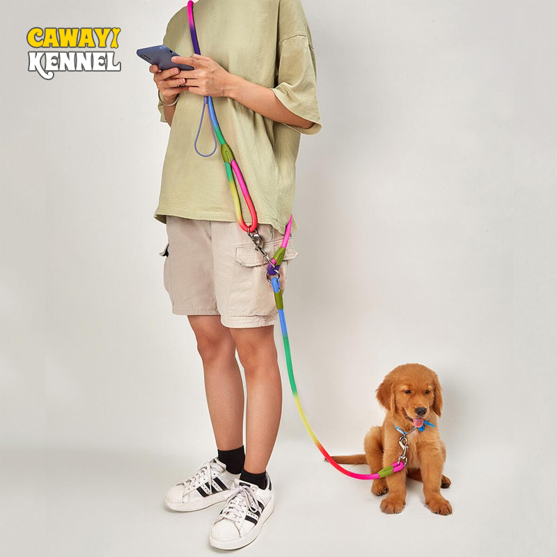 CAWAYI KENNEL Laisse en Nylon  - Running Gear Dog avis et prix
