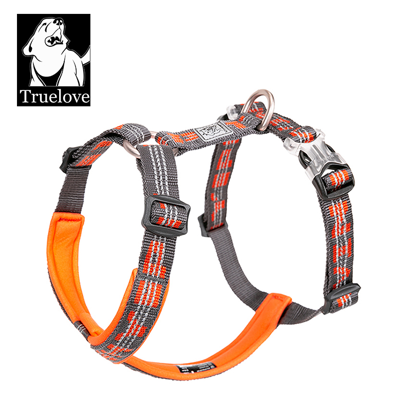TRUELOVE harnais pour animaux  - Running Gear Dog avis et prix