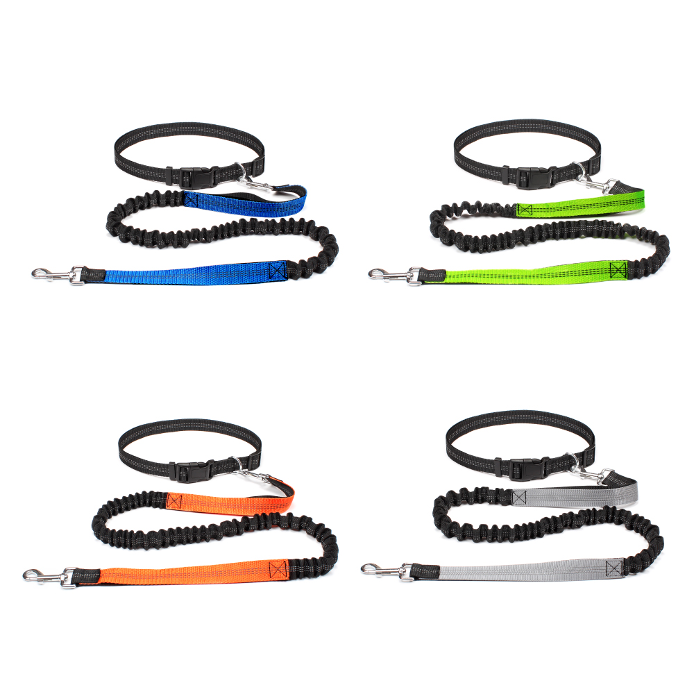 Laisse mains libres pour chien - Running Gear Dog avis et prix