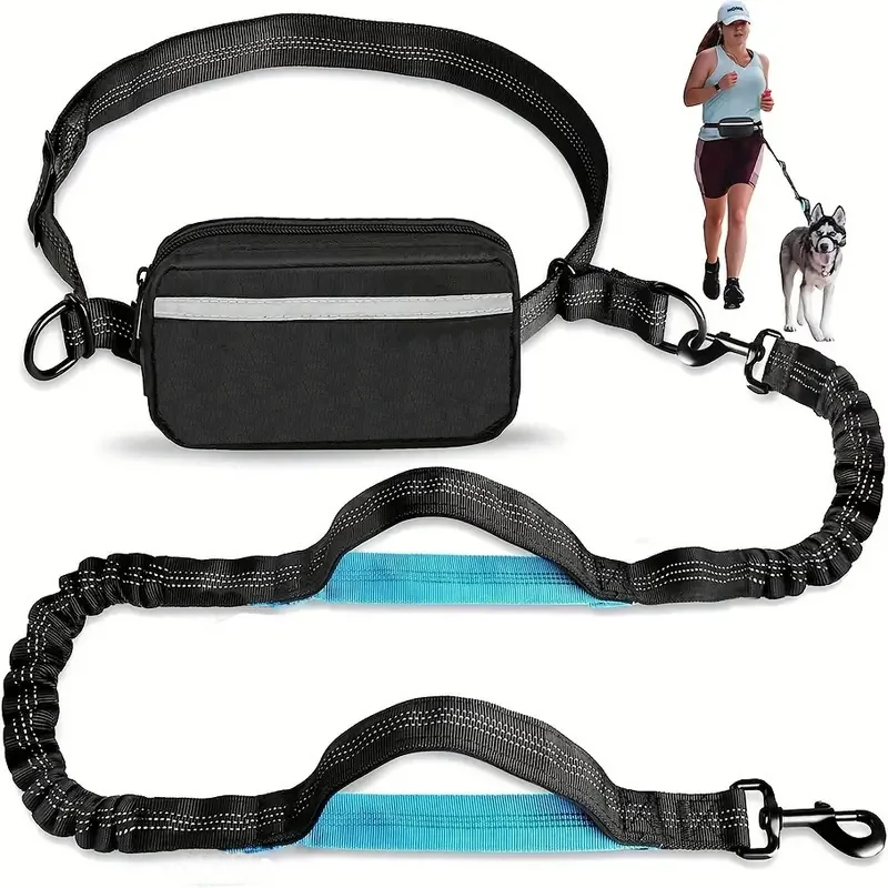 Laisse pour chien gratuite ave - Running Gear Dog avis et prix