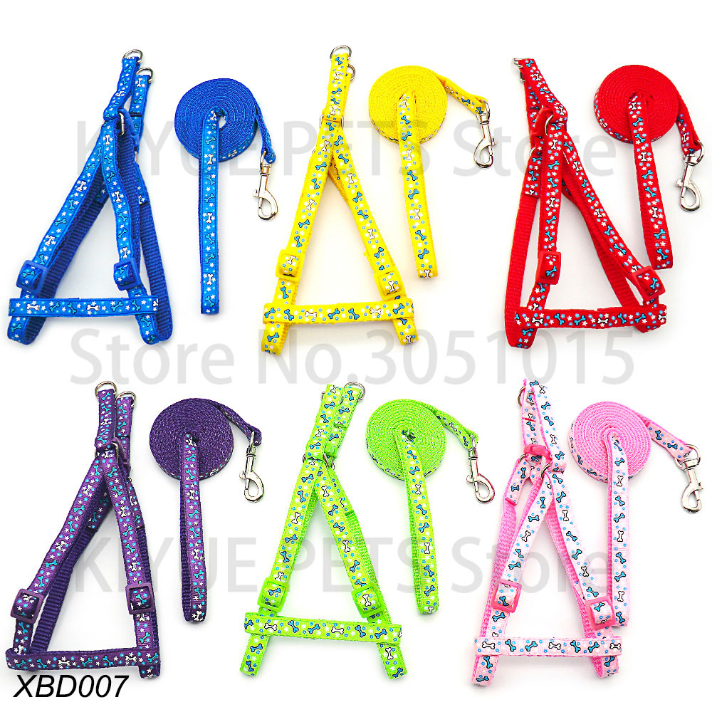 Laisse réglable SFP sans nervu - Running Gear Dog avis et prix