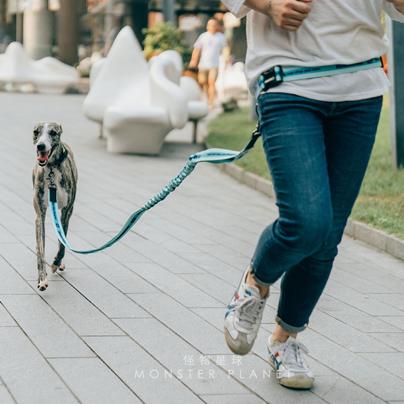 Laisse réglable mains libres p - Running Gear Dog avis et prix