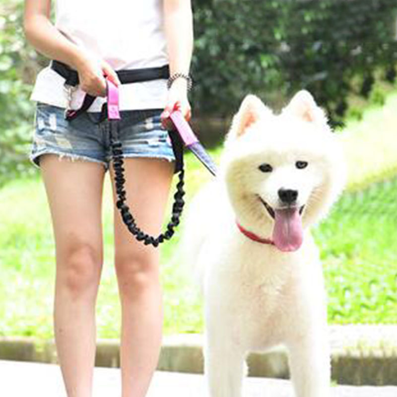 Laisse réglable mains libres p - Running Gear Dog avis et prix