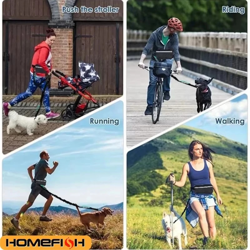 Laisse rétractable élastique r - Running Gear Dog avis et prix
