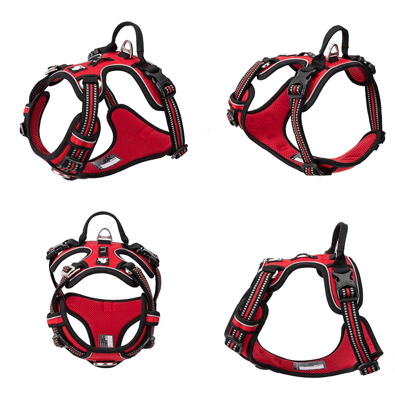 TruelGru- Chien en nylon moulé - Running Gear Dog avis et prix