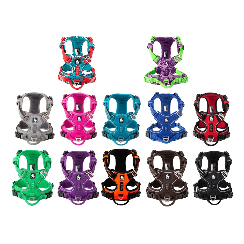 TruelGru- Chien en nylon moulé - Running Gear Dog avis et prix