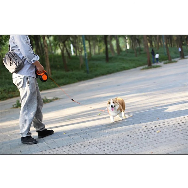 Laisse rétractable en Nylon po - Running Gear Dog avis et prix