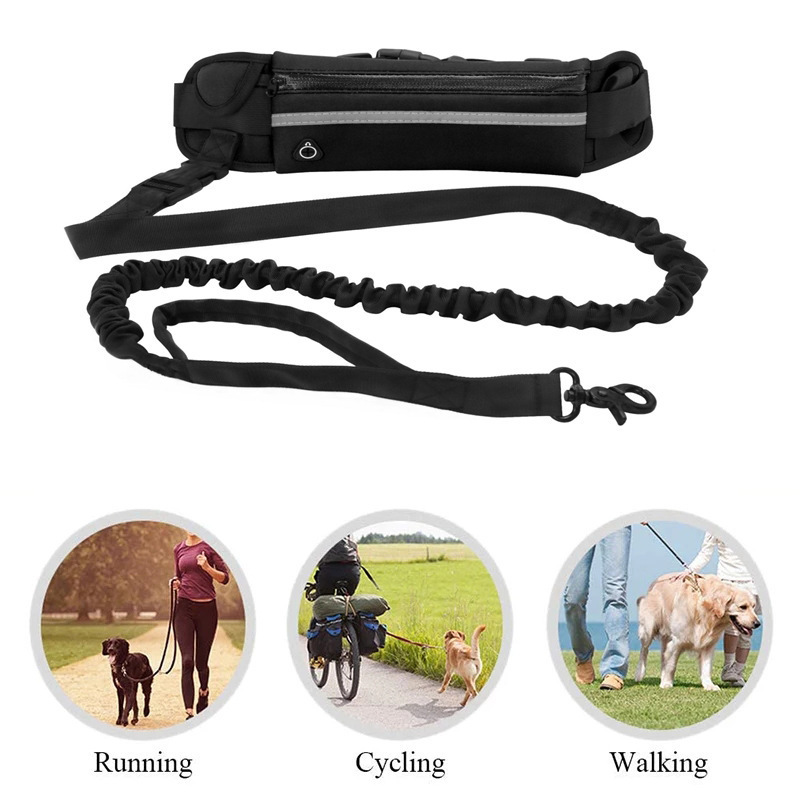 Ensemble multifonctionnel d'éq - Running Gear Dog avis et prix