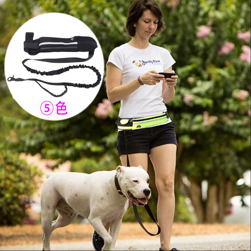 Ensemble multifonctionnel d'éq - Running Gear Dog avis et prix