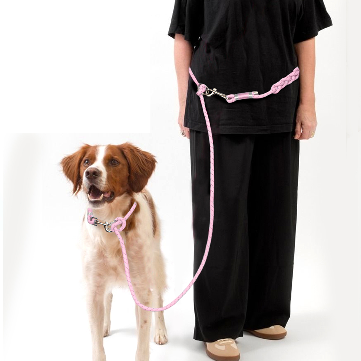 Laisses pour chiens de compagn - Running Gear Dog avis et prix