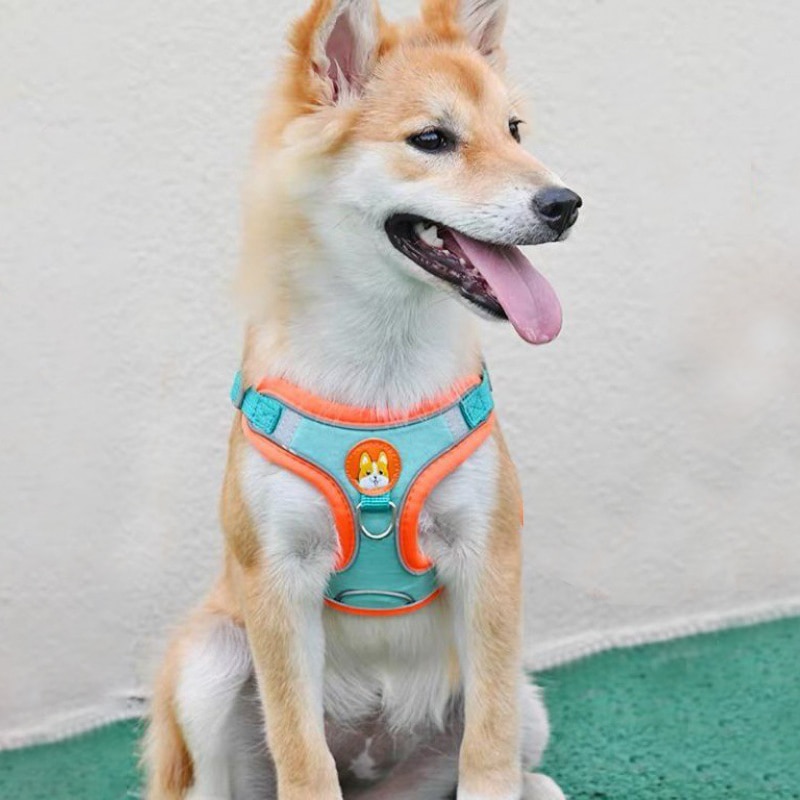 Réglable Sans Pull Pet Chien R - Running Gear Dog avis et prix